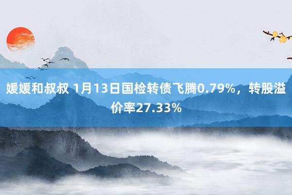 媛媛和叔叔 1月13日国检转债飞腾0.79%，转股溢价率27.33%