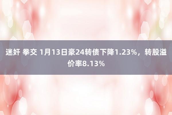 迷奸 拳交 1月13日豪24转债下降1.23%，转股溢价率8.13%