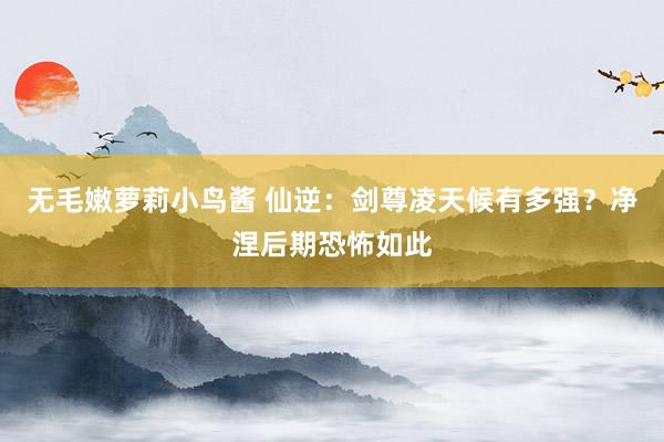 无毛嫩萝莉小鸟酱 仙逆：剑尊凌天候有多强？净涅后期恐怖如此