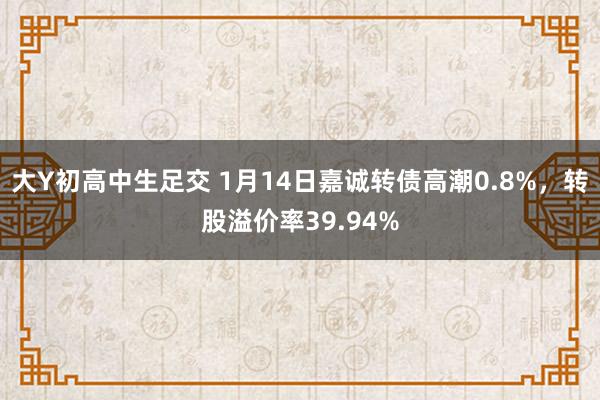 大Y初高中生足交 1月14日嘉诚转债高潮0.8%，转股溢价率39.94%