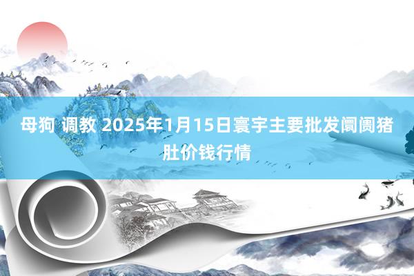 母狗 调教 2025年1月15日寰宇主要批发阛阓猪肚价钱行情