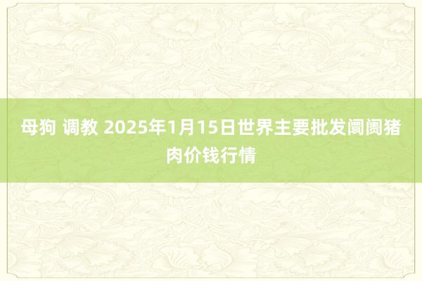 母狗 调教 2025年1月15日世界主要批发阛阓猪肉价钱行情