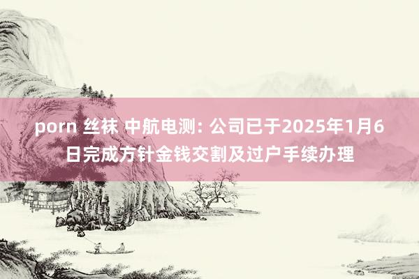 porn 丝袜 中航电测: 公司已于2025年1月6日完成方针金钱交割及过户手续办理