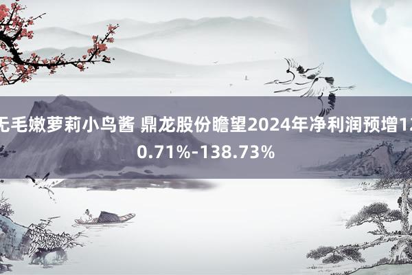 无毛嫩萝莉小鸟酱 鼎龙股份瞻望2024年净利润预增120.71%-138.73%