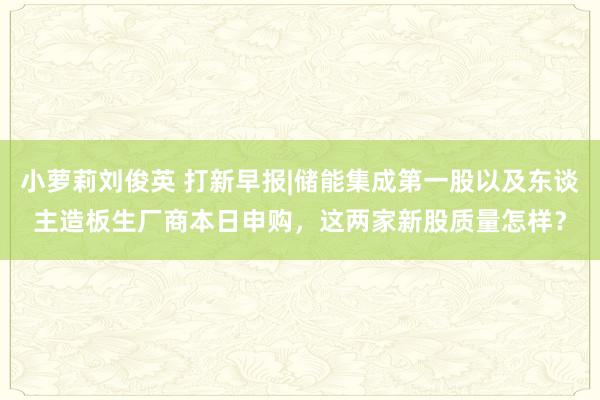 小萝莉刘俊英 打新早报|储能集成第一股以及东谈主造板生厂商本日申购，这两家新股质量怎样？