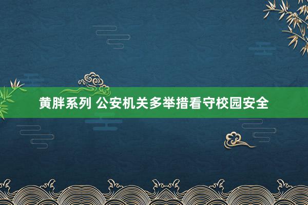 黄胖系列 公安机关多举措看守校园安全