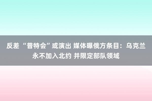 反差 “普特会”或演出 媒体曝俄方条目：乌克兰永不加入北约 并限定部队领域