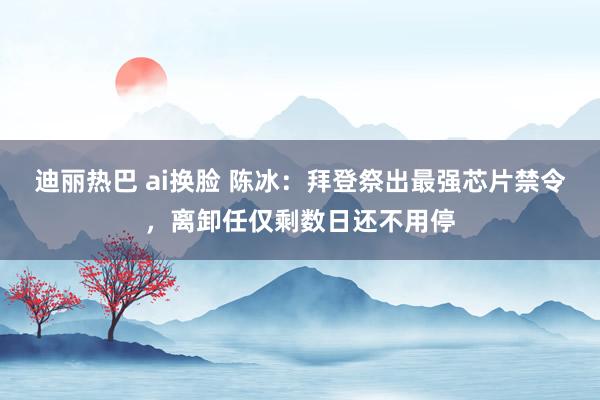 迪丽热巴 ai换脸 陈冰：拜登祭出最强芯片禁令，离卸任仅剩数日还不用停