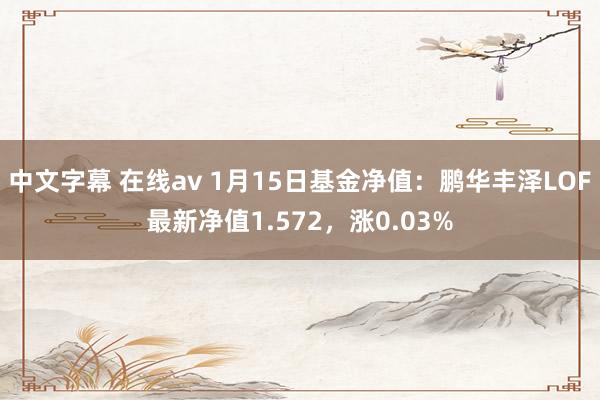 中文字幕 在线av 1月15日基金净值：鹏华丰泽LOF最新净值1.572，涨0.03%