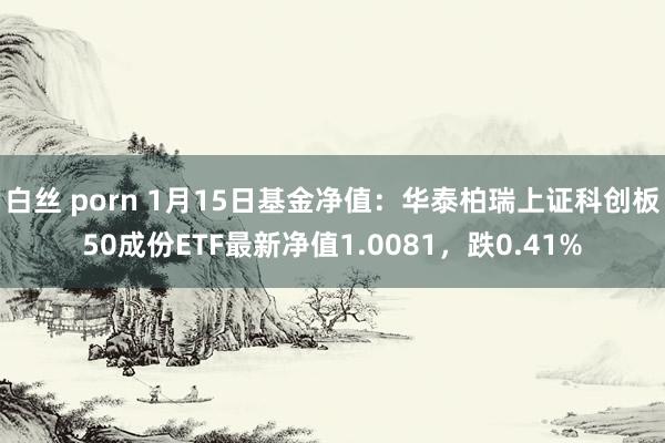 白丝 porn 1月15日基金净值：华泰柏瑞上证科创板50成份ETF最新净值1.0081，跌0.41%