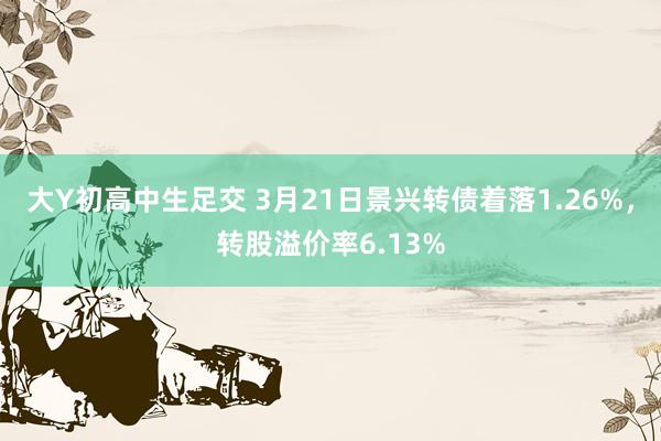 大Y初高中生足交 3月21日景兴转债着落1.26%，转股溢价率6.13%